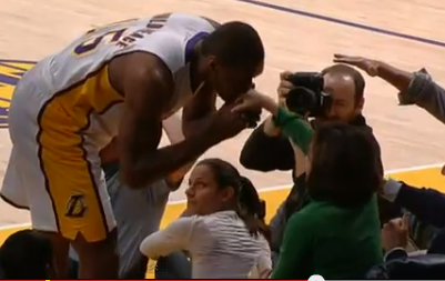 metta world peace