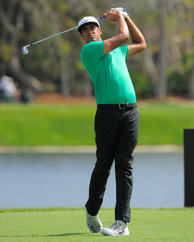 tonyfinau