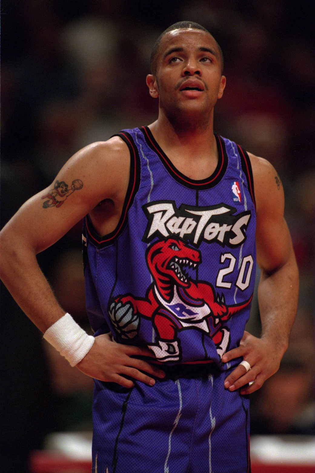 toronto raptors barney jersey