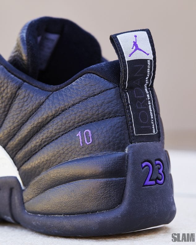 mike bibby jordan 12